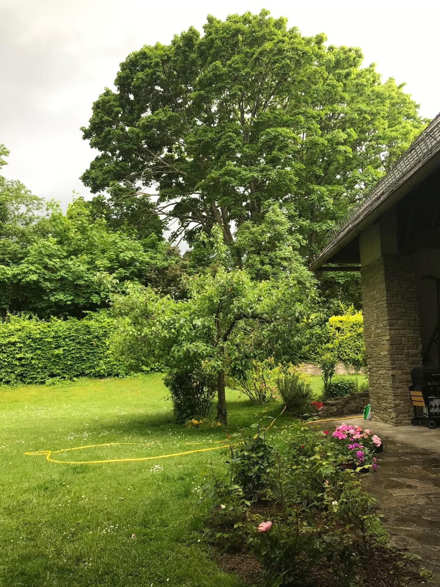 Landhaus Am Kurpark Baden Dış mekan fotoğraf