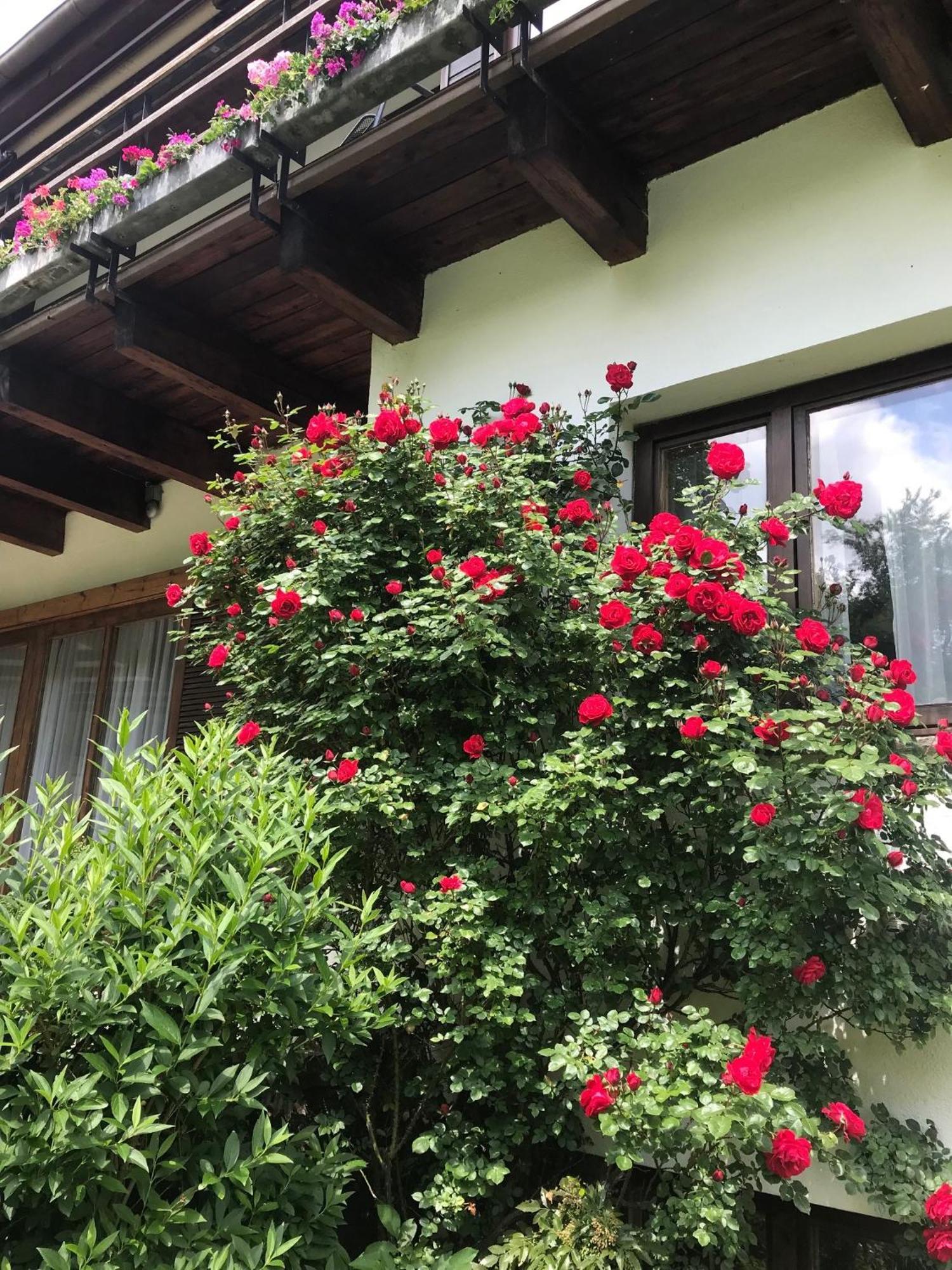 Landhaus Am Kurpark Baden Dış mekan fotoğraf