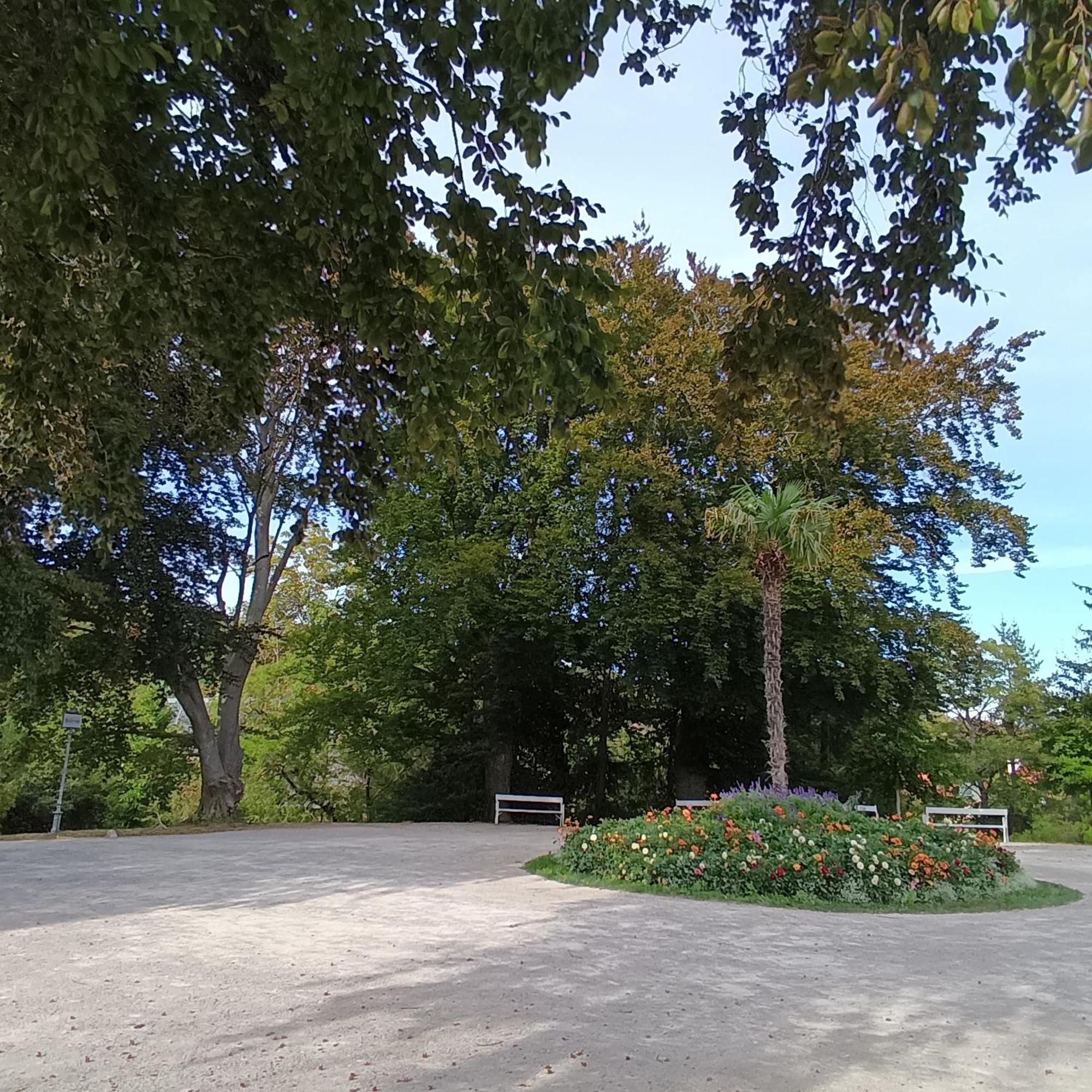 Landhaus Am Kurpark Daire Baden Dış mekan fotoğraf