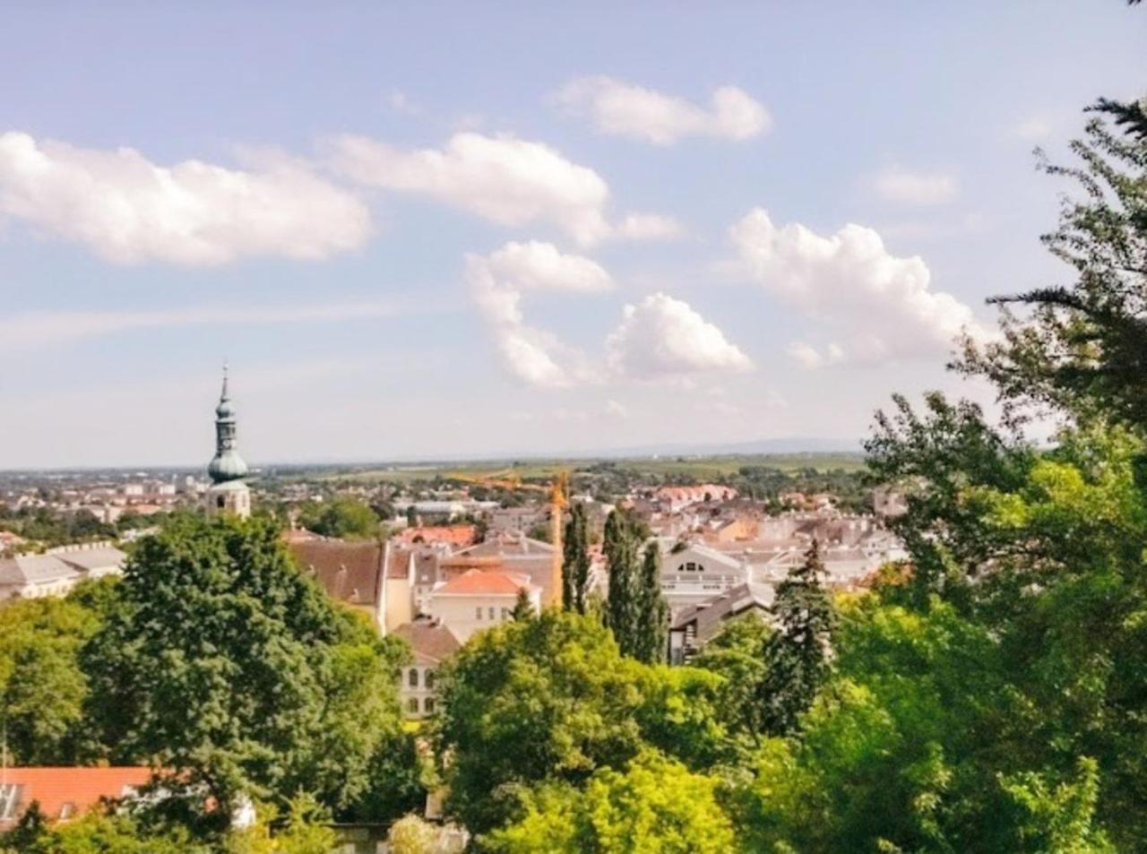 Landhaus Am Kurpark Daire Baden Dış mekan fotoğraf